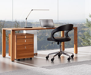 Luxury Modern European desk