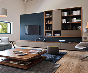 Contemporary luxury wall units