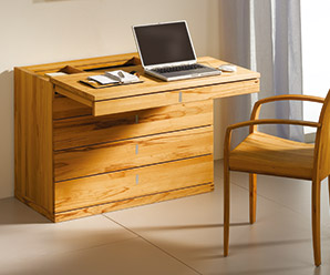 Luxurious writing desk