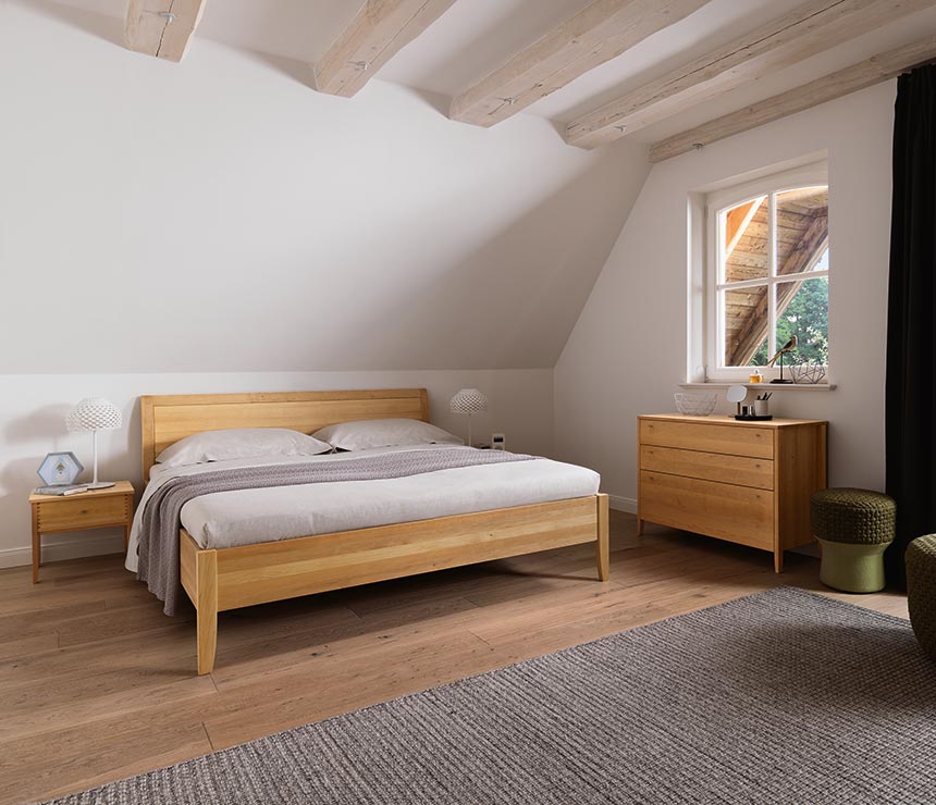 Classic contemporary bed