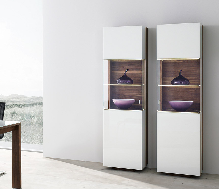 Luxury contemporary display cabinets
