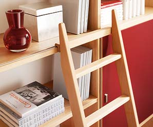 Maple bookcase and ladder