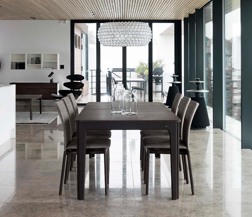 Contemporary long dining table in wenge