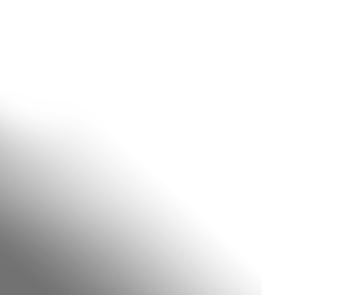 Shadow